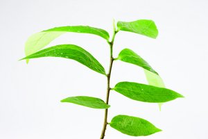5分钟理解市场调研的本质
